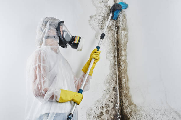 Baden, MD Mold Remediation Company