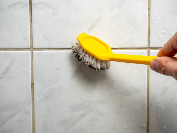 Best Emergency Mold Remediation in Baden, MD